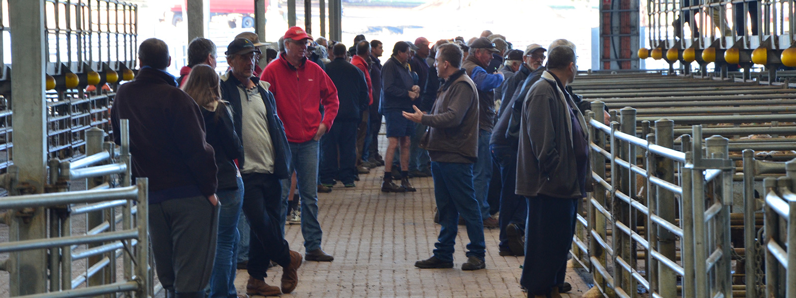 Meat Industry Authority - Western Australian Meat Industry Authority